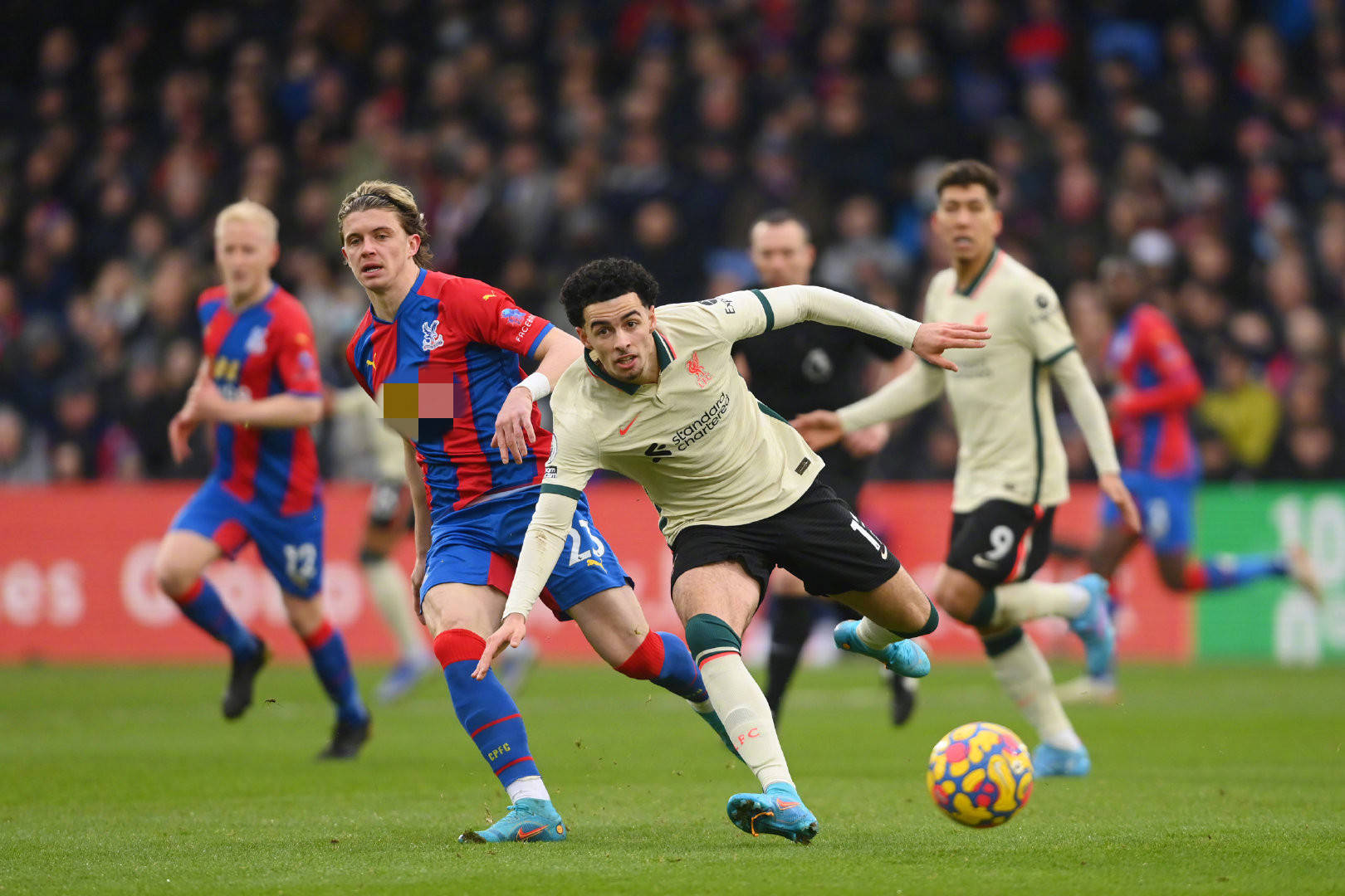 透露出尊重 透露出尊重